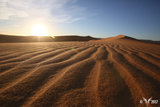 Le Groupe Saturne - Actualités - Rally Aicha Gazelles Maroc - Un univers de propreté - Nettoyage professionnel - Entreprise de nettoyage